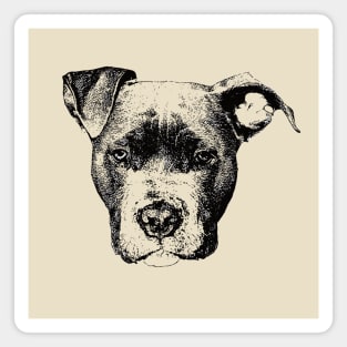 American Pit Bull Terrier Face Design - A pit bull Christmas Gift Magnet